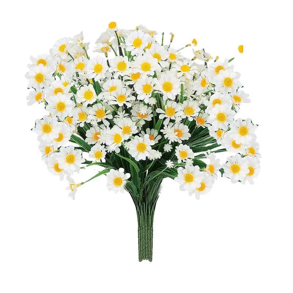 Everfield Daisy Home Display Kit